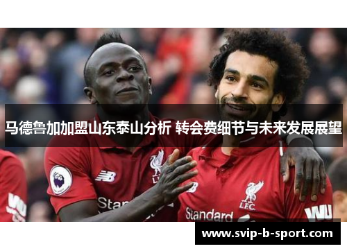 马德鲁加加盟山东泰山分析 转会费细节与未来发展展望