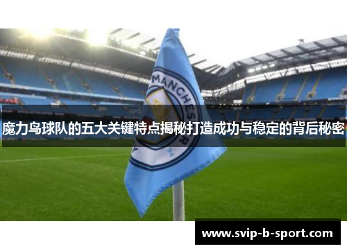 魔力鸟球队的五大关键特点揭秘打造成功与稳定的背后秘密